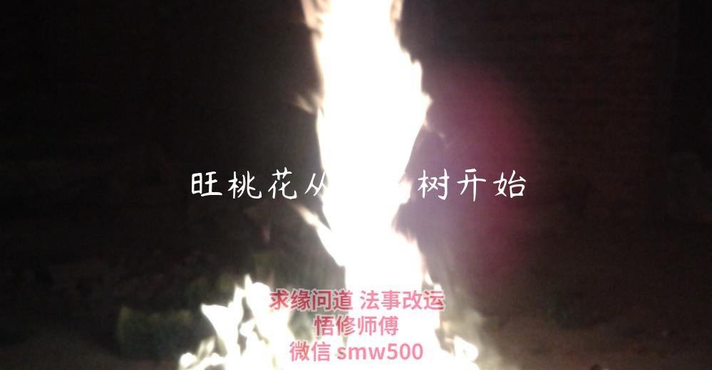 旺桃花从桃花树开始-开运法事网